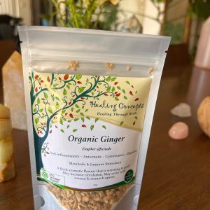 Organic Ginger Root Tea – Metabolic Fire & Gut Health in Every Sip