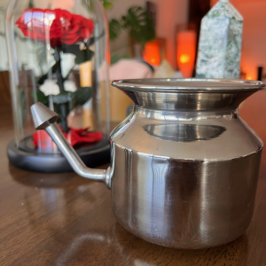 Stainless Steel Neti Pot