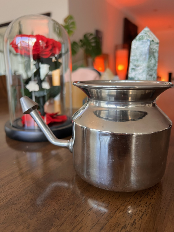 Stainless Steel Neti Pot